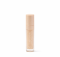 3-in-1 Canvas Concealer 8ml